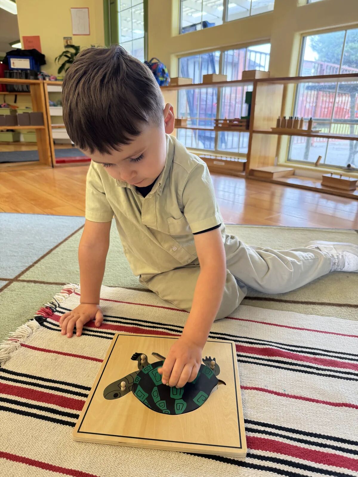 Ghép hình động vật – Slater Montessori Academy