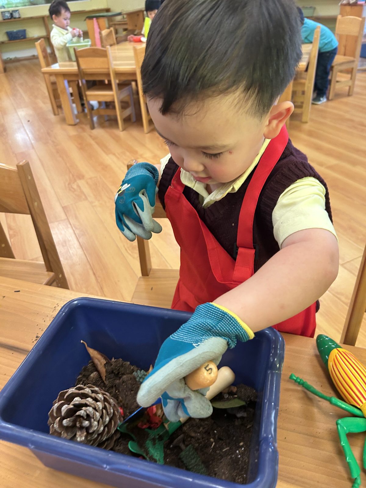 Pre-Primary – Slater Montessori Academy